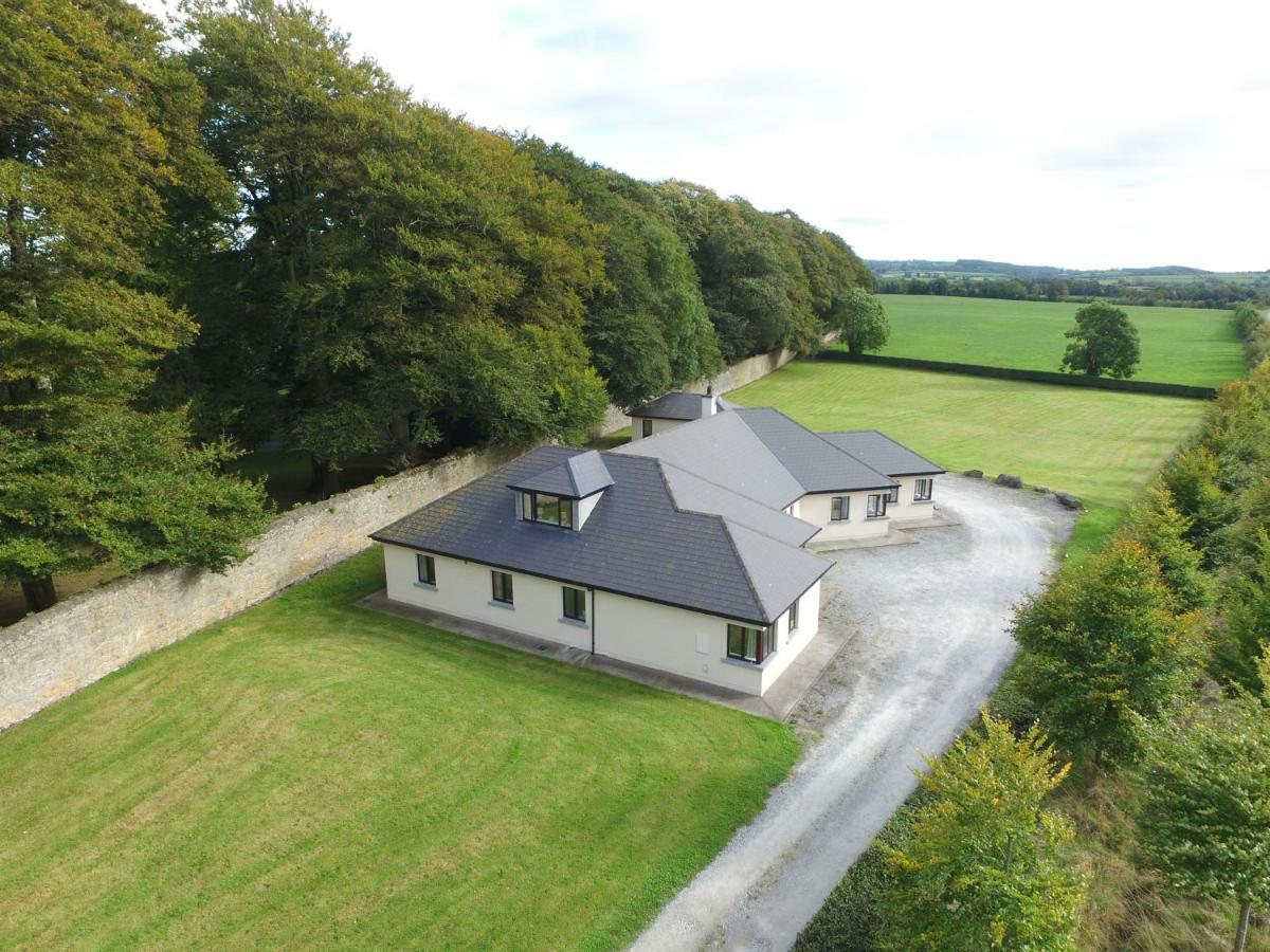 Moorepark West House Fermoy Extérieur photo